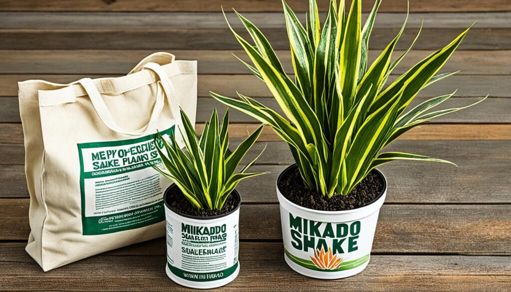 Recommended Fertilizer for Mikado Snake Plants