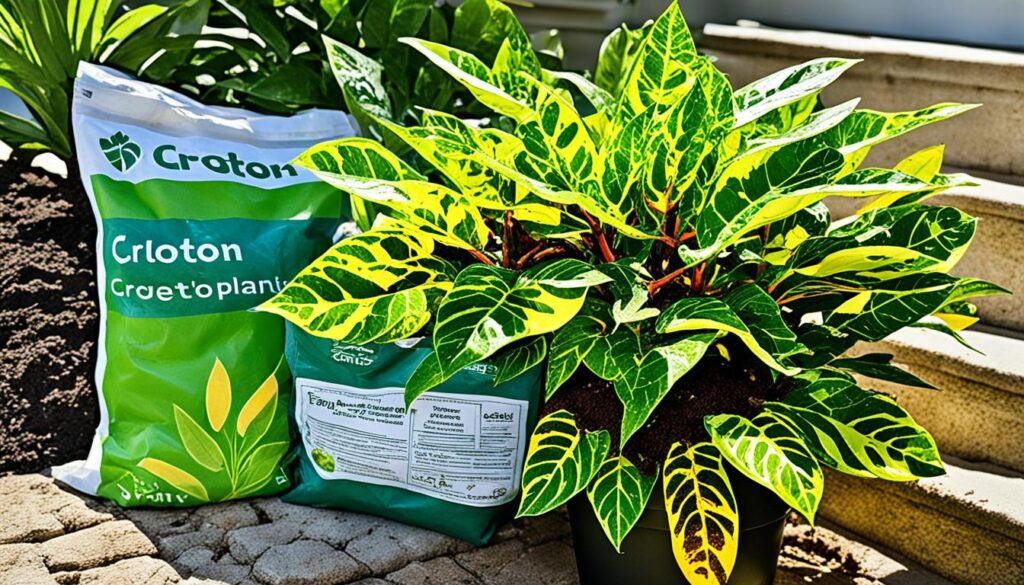 Recommended Fertilizer for a Croton Plant