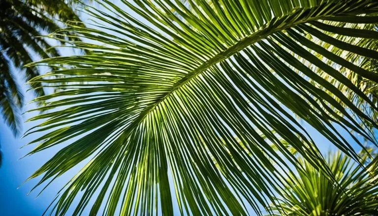 complete guide to Areca Palm for apartments
