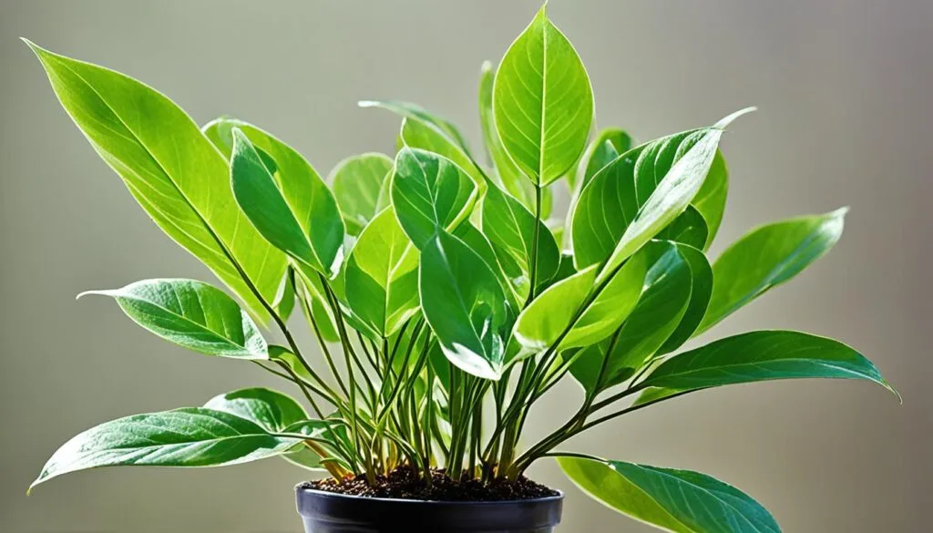 plant lighting plant lighting