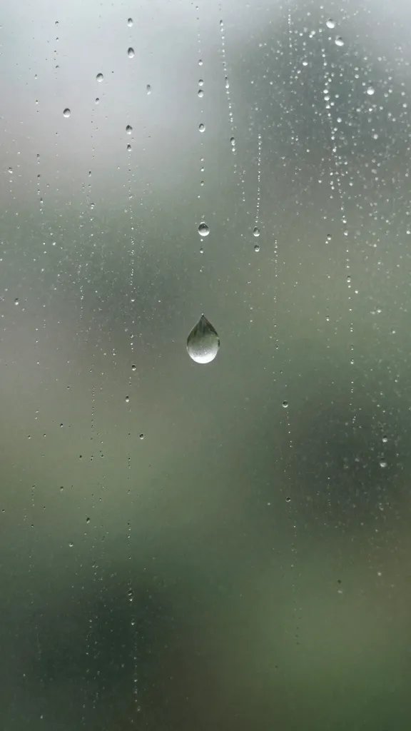 single water droplet running down terrarium glass