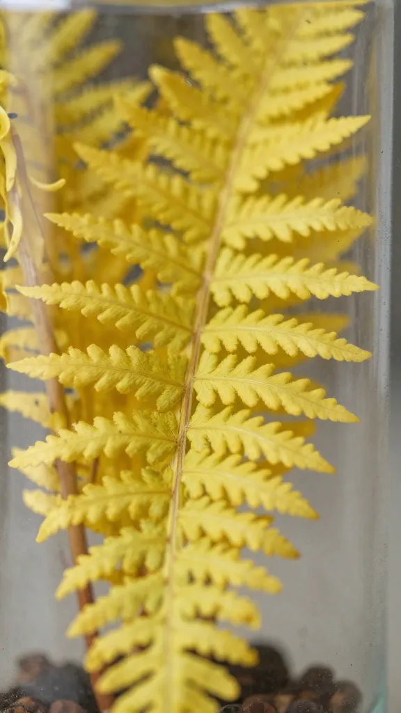 closeup of yellowing fern frond tip inside jar