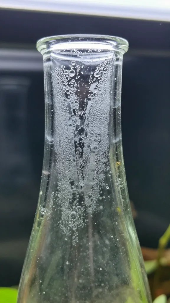 closeup of narrow-neck glass terrarium trapping condensation