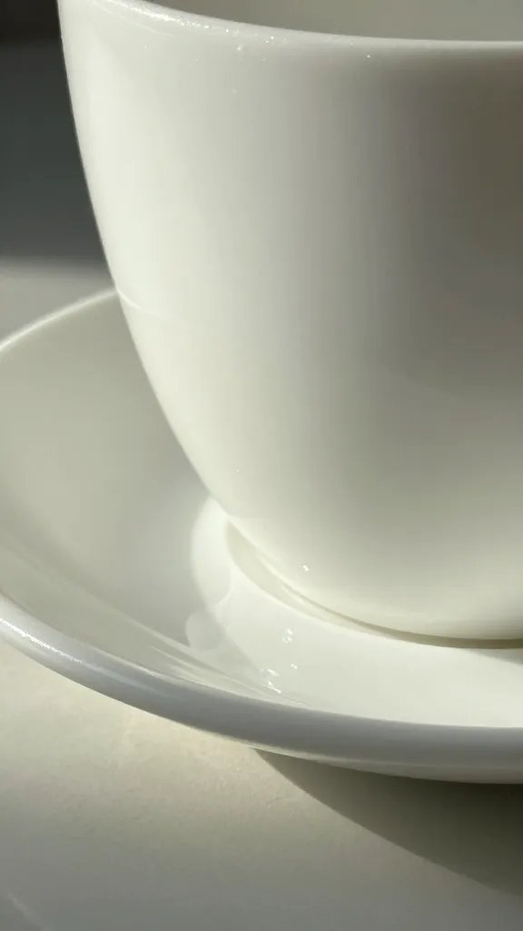 reflective white saucer under pot, sunlit closeup