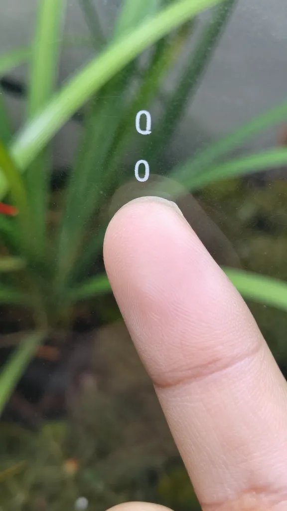 fingertip test on terrarium glass humidity, macro