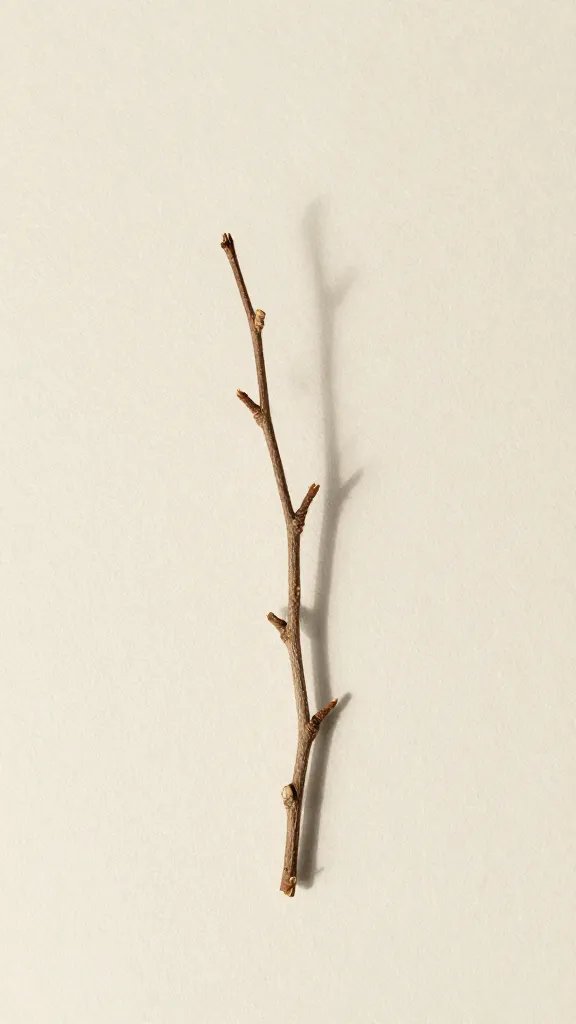 single twig accent casting shadow on substrate