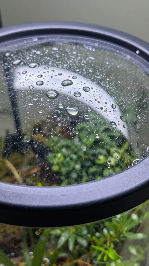 closeup terrarium lid slightly ajar with condensation droplets