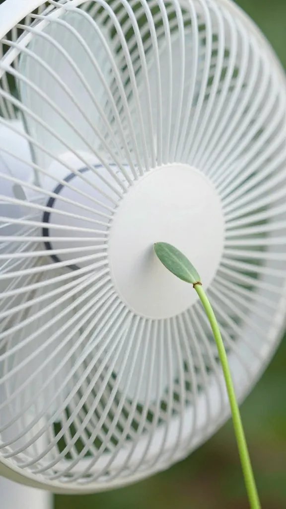 closeup oscillating fan gently bending one seedling