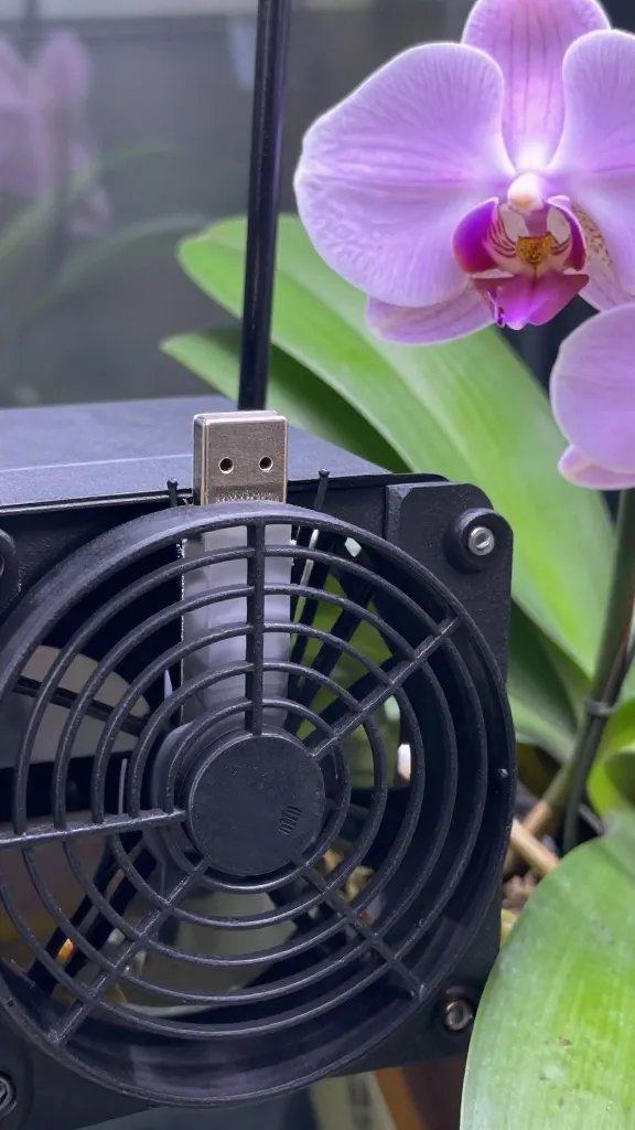 USB terrarium fan closeup beside orchid leaves
