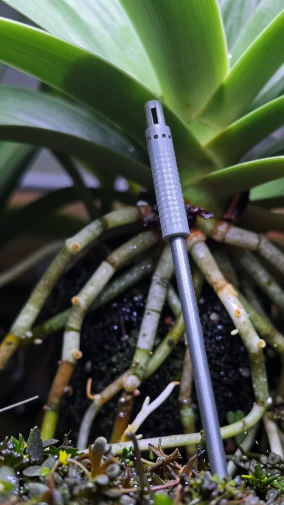 hygrometer probe tip near orchid roots in terrarium