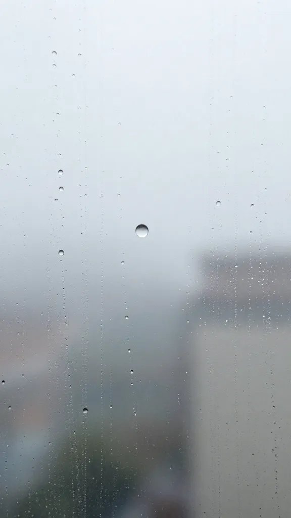 single water droplet sliding down terrarium pane