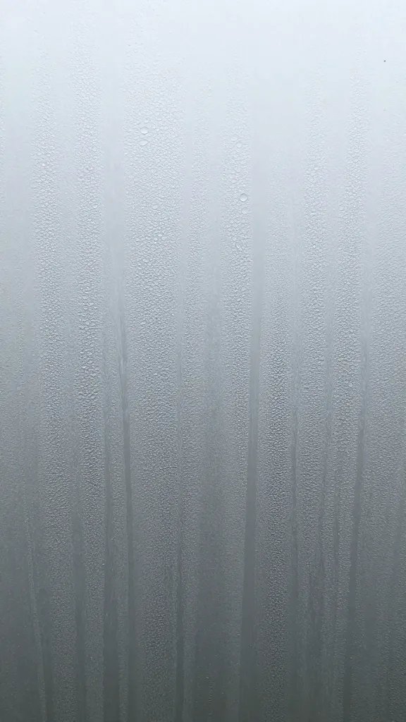 misted glass terrarium wall with condensation beads
