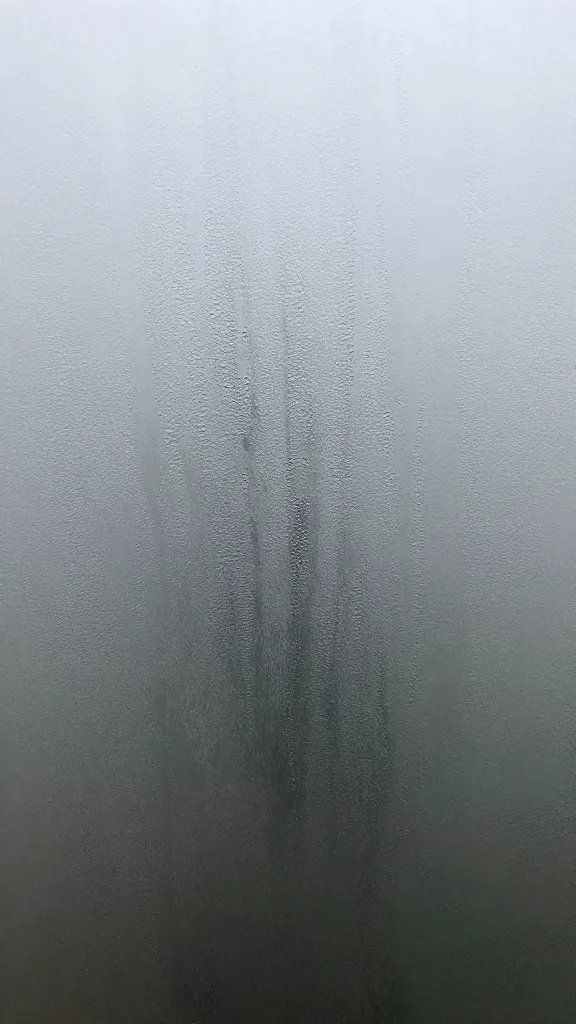 heavy fogged terrarium wall, uniform condensation, closeup