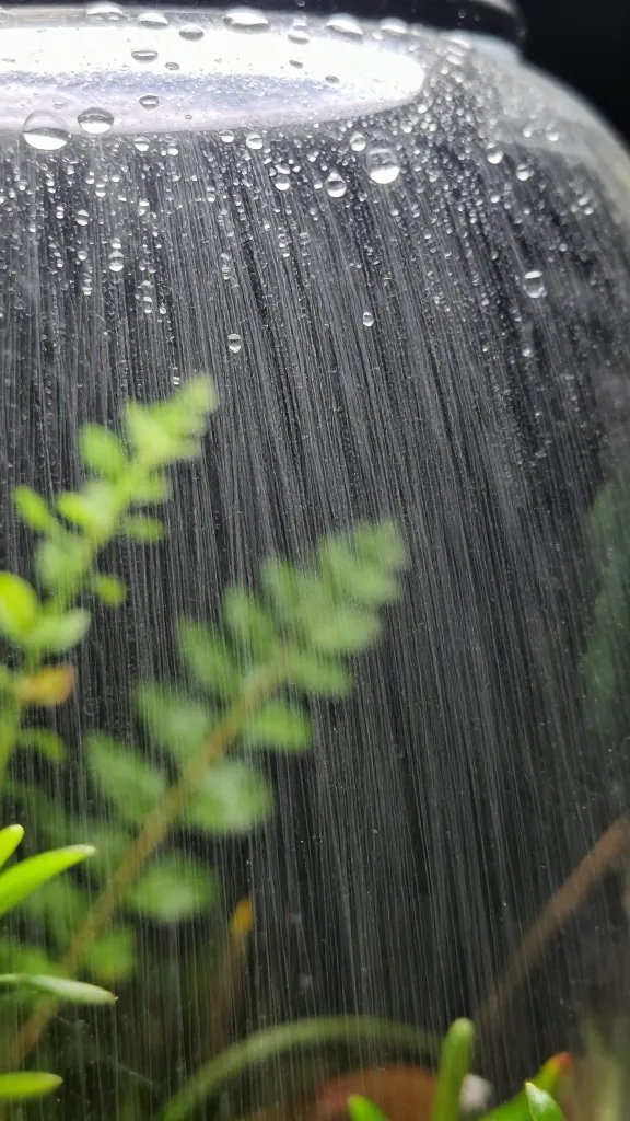 fine mist on terrarium lid droplets, macro detail