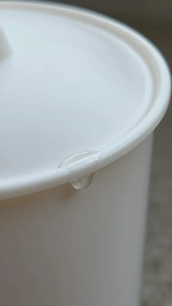 germination condensation drip on lid edge, closeup