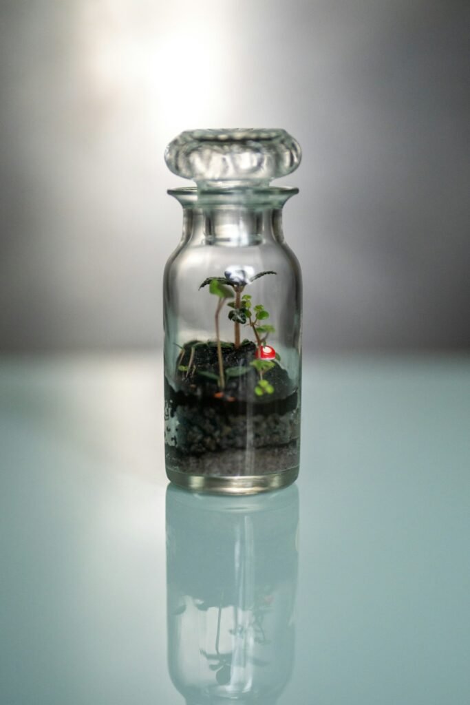 Small plants growing inside a sealed glass bottle terrarium