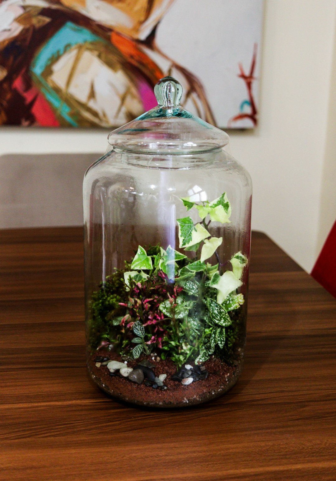 A lush glass terrarium with layered plants and moss on a wooden table