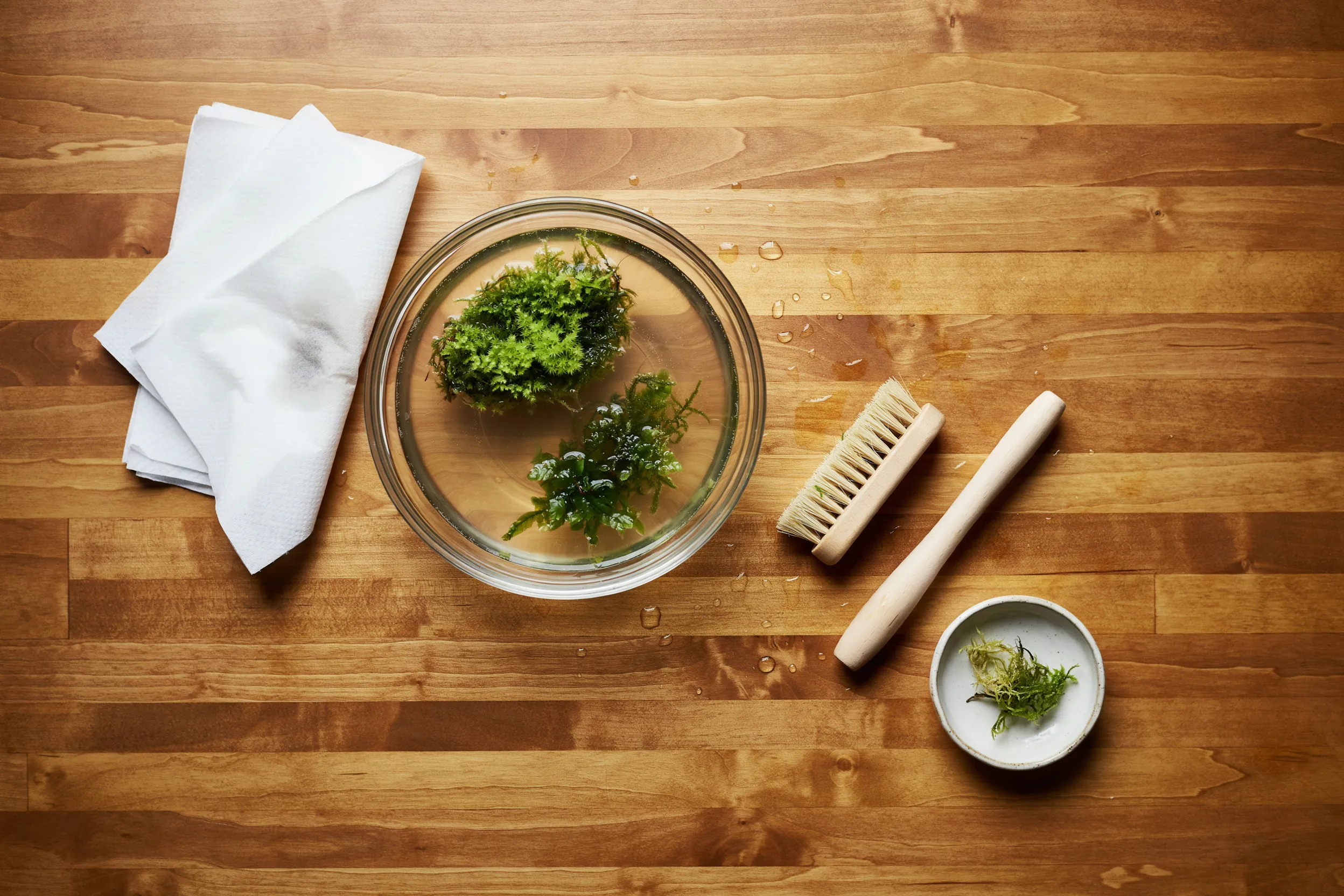 moss decontamination
