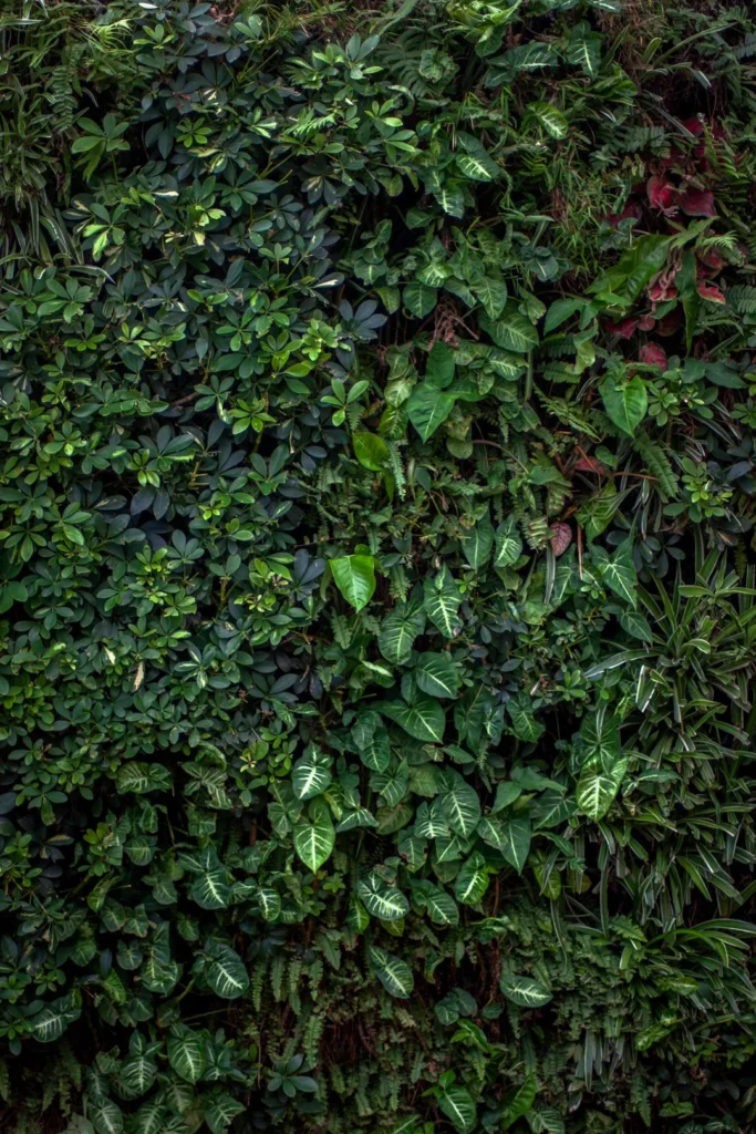 A dense living wall covered in varied green foliage