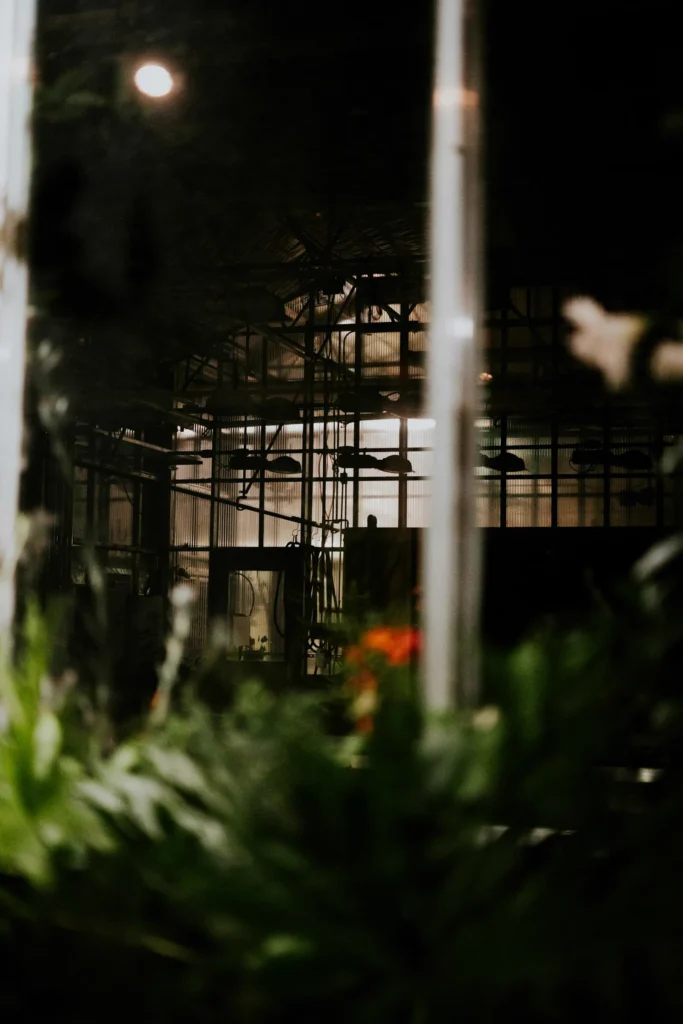 A dimly lit greenhouse at dusk seen through reflective glass and foliage